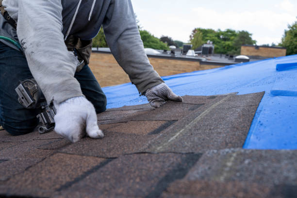 Best Flat Roofing  in Georgetown, CA